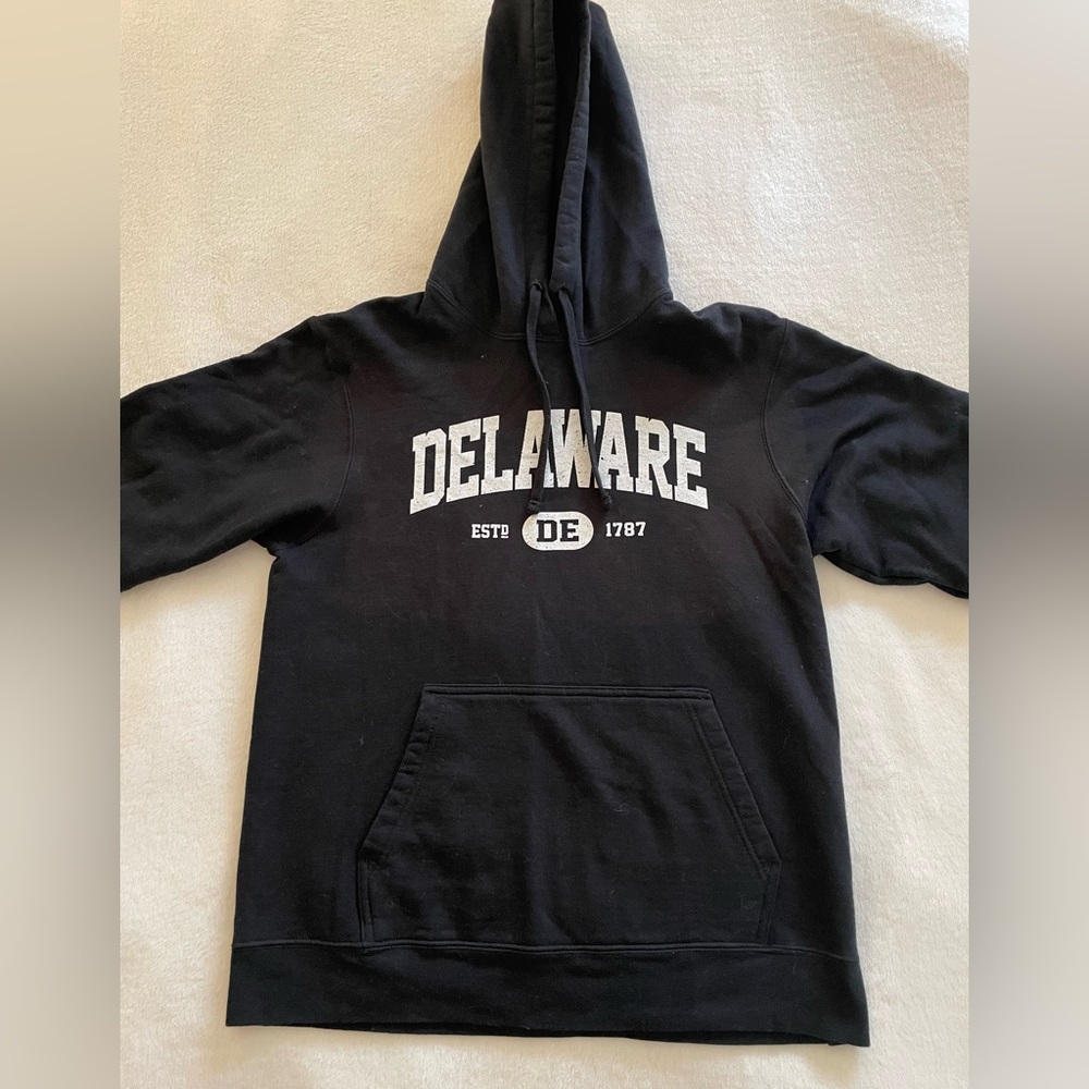 Unisex Delaware State Hoodie